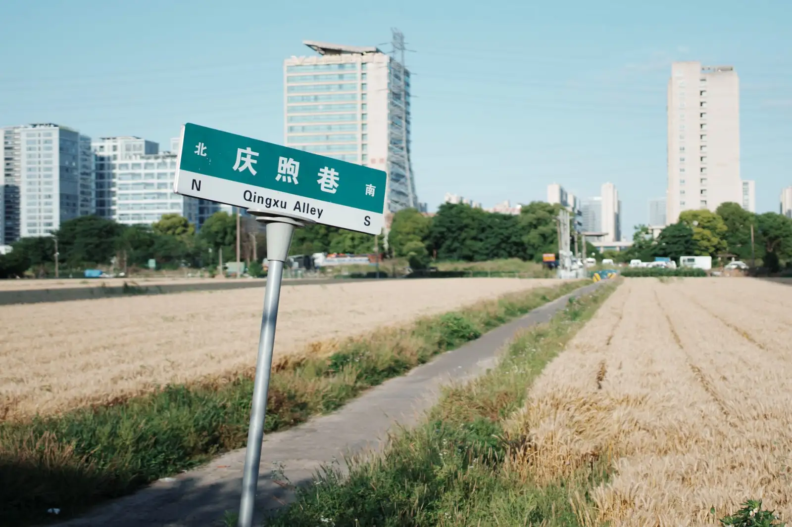 专业展览搭建与展厅布置:从空间规划到施工落地的全流程服务